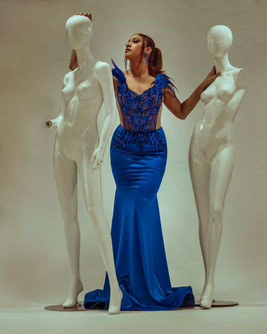 Amina Gown with feathers