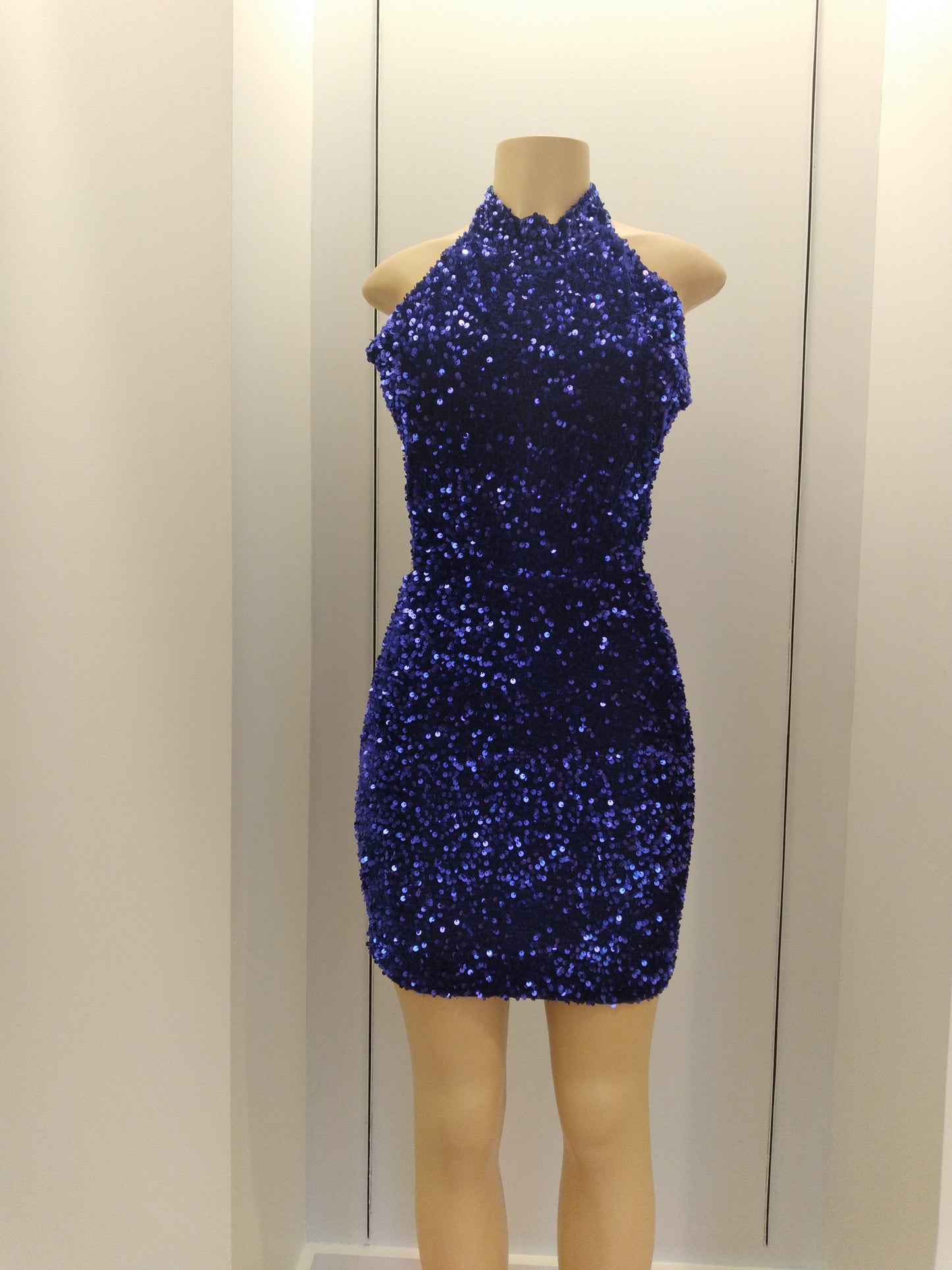 The Nikki Sequin Dress