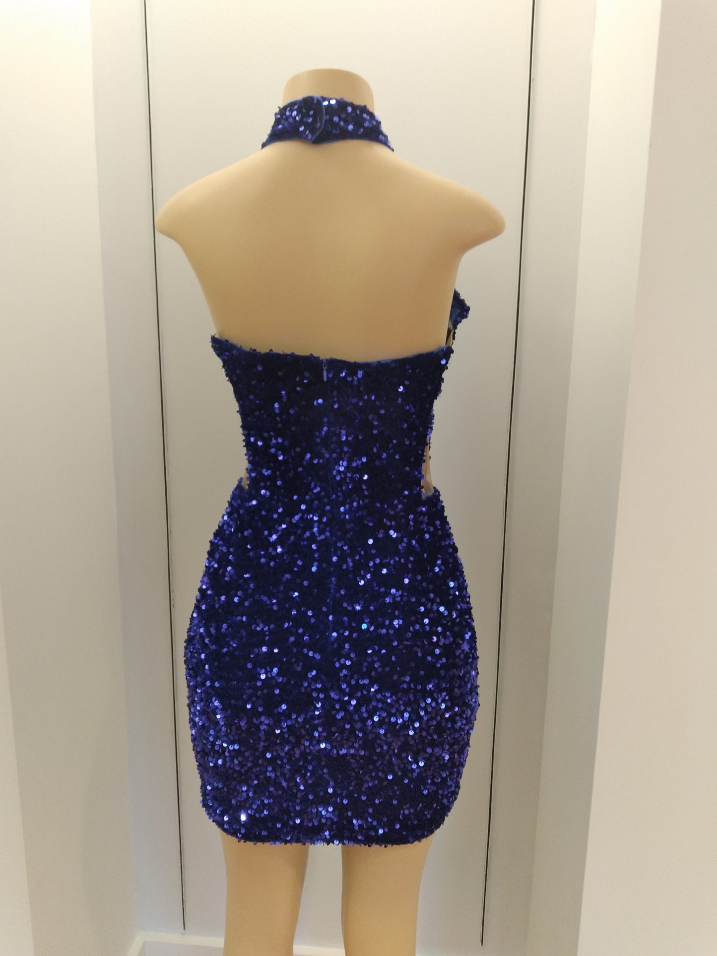 The Nikki Sequin Dress